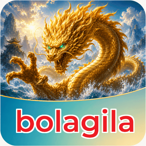 bolagila Verification