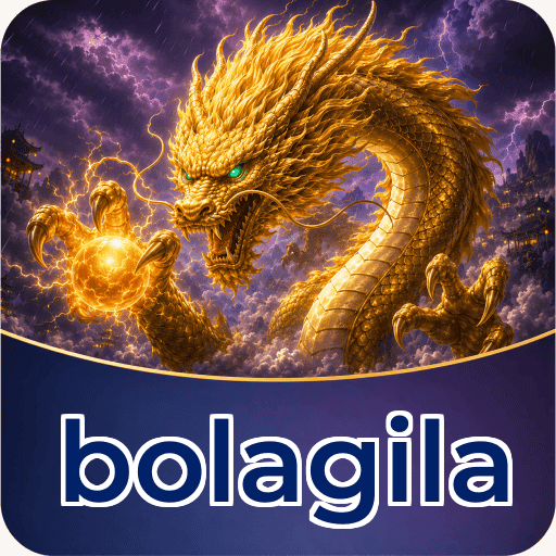 bolagila Technical Info